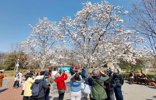 2018年11月2日到走进青海黄南州的青海湖 公益环保 拾垃圾活动,.JPG