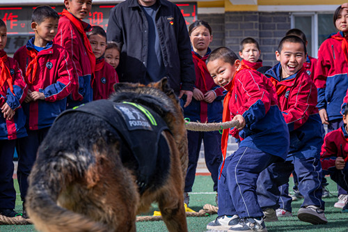 1774240534523897.jpg 图为警犬与学生拔河互动画面2.jpg