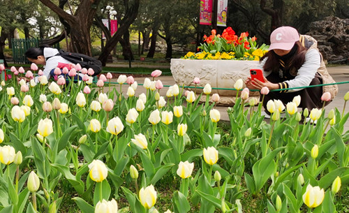2019年10月6日 重阳节,时代中国网敬老爱老志愿者到石景山区民族养老院慰问演出.jpg